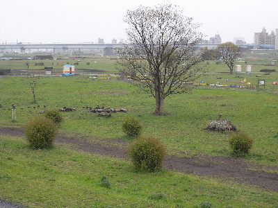 c0091679_13224954.jpg