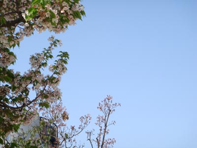 f0153479_16574566.jpg