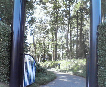 d0056881_21253798.jpg