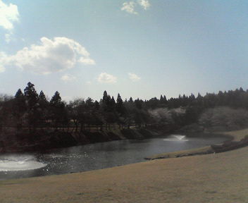 d0056881_21255040.jpg