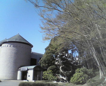 d0056881_2126445.jpg
