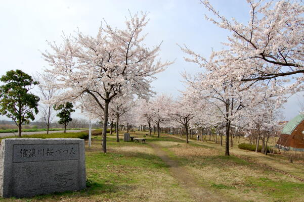 c0141882_2269100.jpg