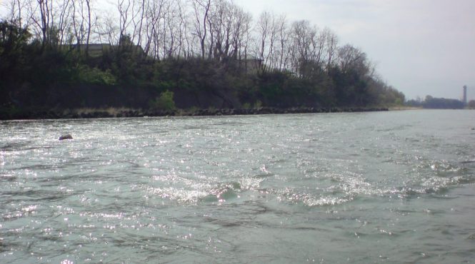 c0157482_20235087.jpg