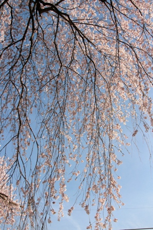 b0090883_902537.jpg