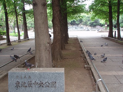 c0105785_8233344.jpg