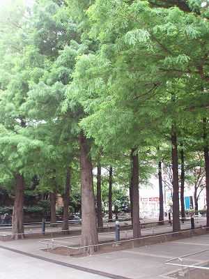 c0105785_8284539.jpg