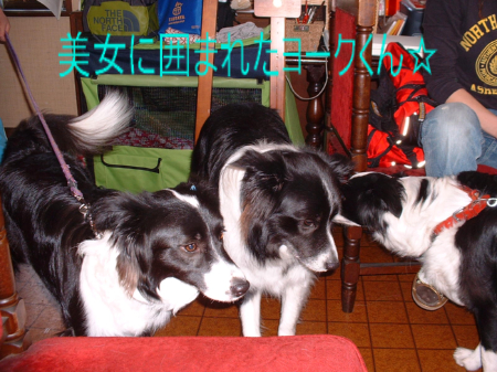 c0120585_213852100.jpg