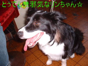 c0120585_21393949.jpg
