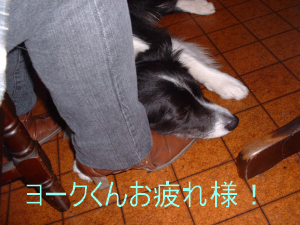 c0120585_21431450.jpg