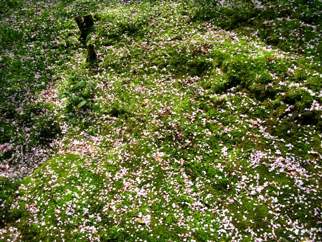 f0085185_20543633.jpg