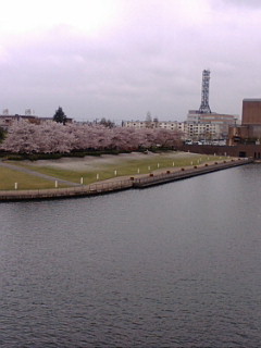 f0030289_22534971.jpg