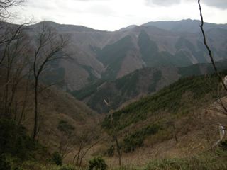 a0064290_23533382.jpg