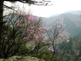 a0064290_23535571.jpg