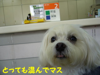 f0145192_16161947.jpg
