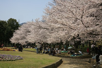 b0062793_1795525.jpg