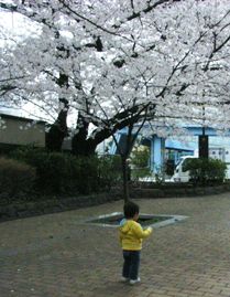 a0005394_05055100.jpg