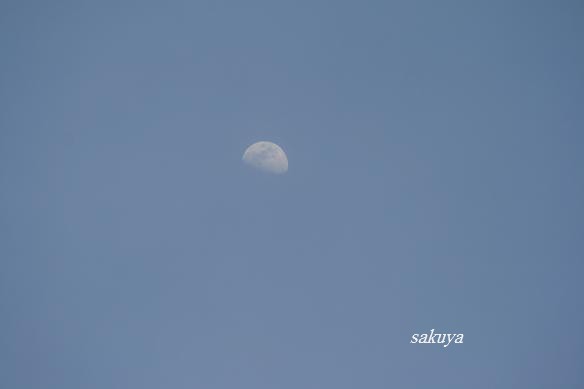e0122194_2061547.jpg