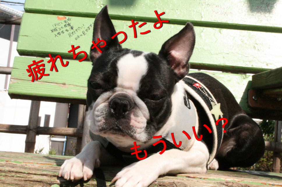 d0070702_22463197.jpg