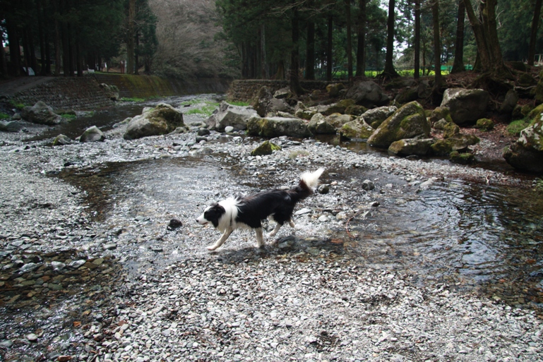 f0034602_20542642.jpg