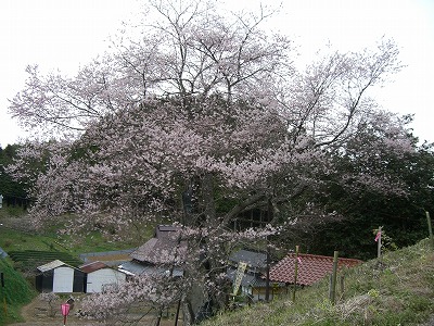 c0076204_23373767.jpg
