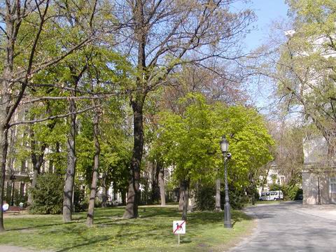 f0021504_3223013.jpg