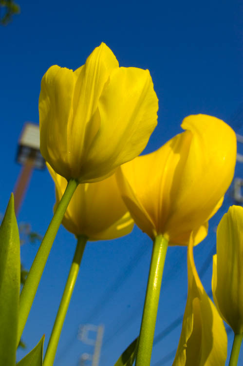 a0099808_23364514.jpg