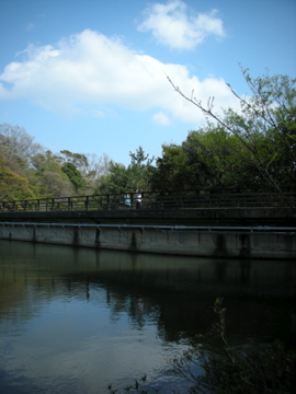 c0145209_0275239.jpg