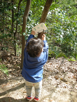 c0145209_035393.jpg