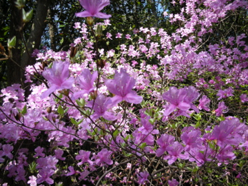 c0145209_0371630.jpg