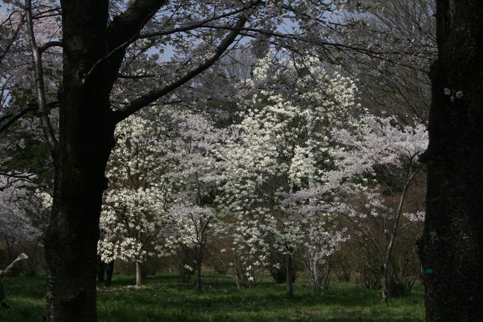 c0003217_22561222.jpg