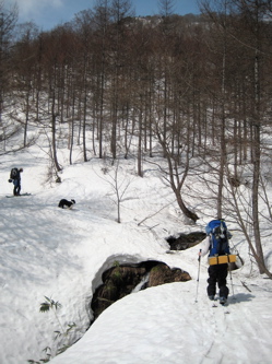 e0060517_232359.jpg