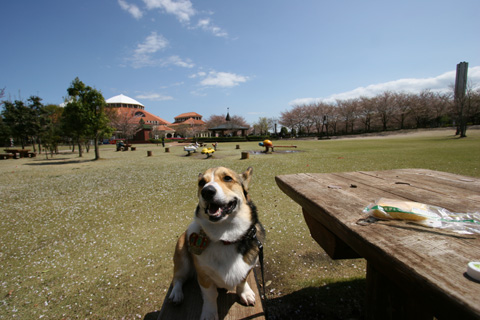 e0071225_064699.jpg