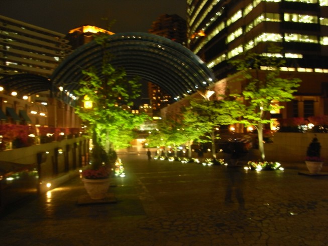 d0104926_5114680.jpg