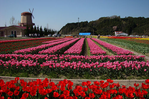 f0007926_22112046.jpg
