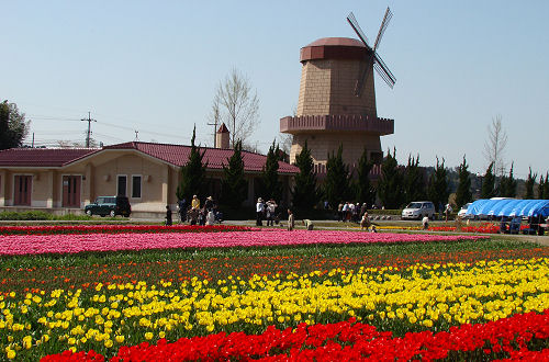 f0007926_2293714.jpg