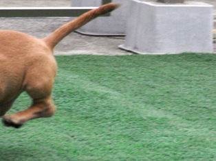 e0048933_1554571.jpg