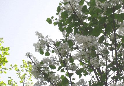 d0093936_16252428.jpg