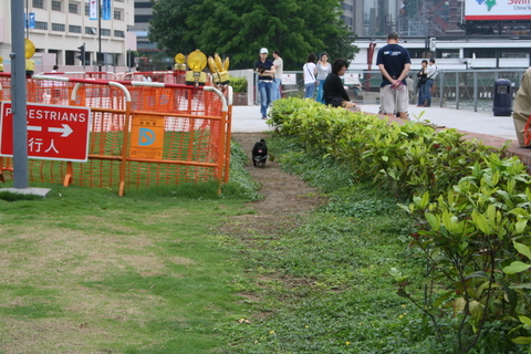 e0018143_137532.jpg