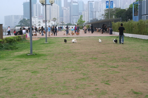 e0018143_1452761.jpg