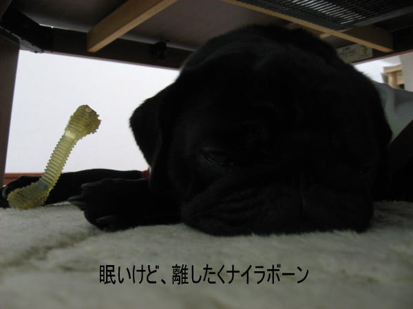 e0040544_23201282.jpg