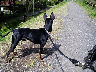 c0123149_1404761.jpg