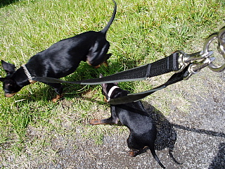 c0123149_1413054.jpg