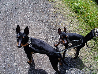 c0123149_141544.jpg