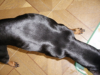 c0123149_145062.jpg