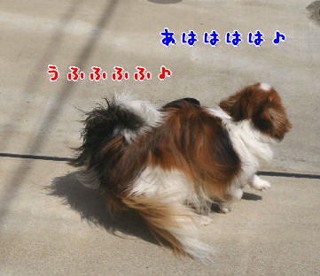 d0013149_7481448.jpg