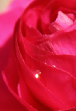 d0013149_813986.jpg