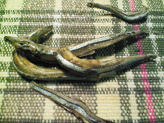b0021251_9331885.jpg