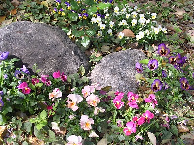 b0120159_23472291.jpg