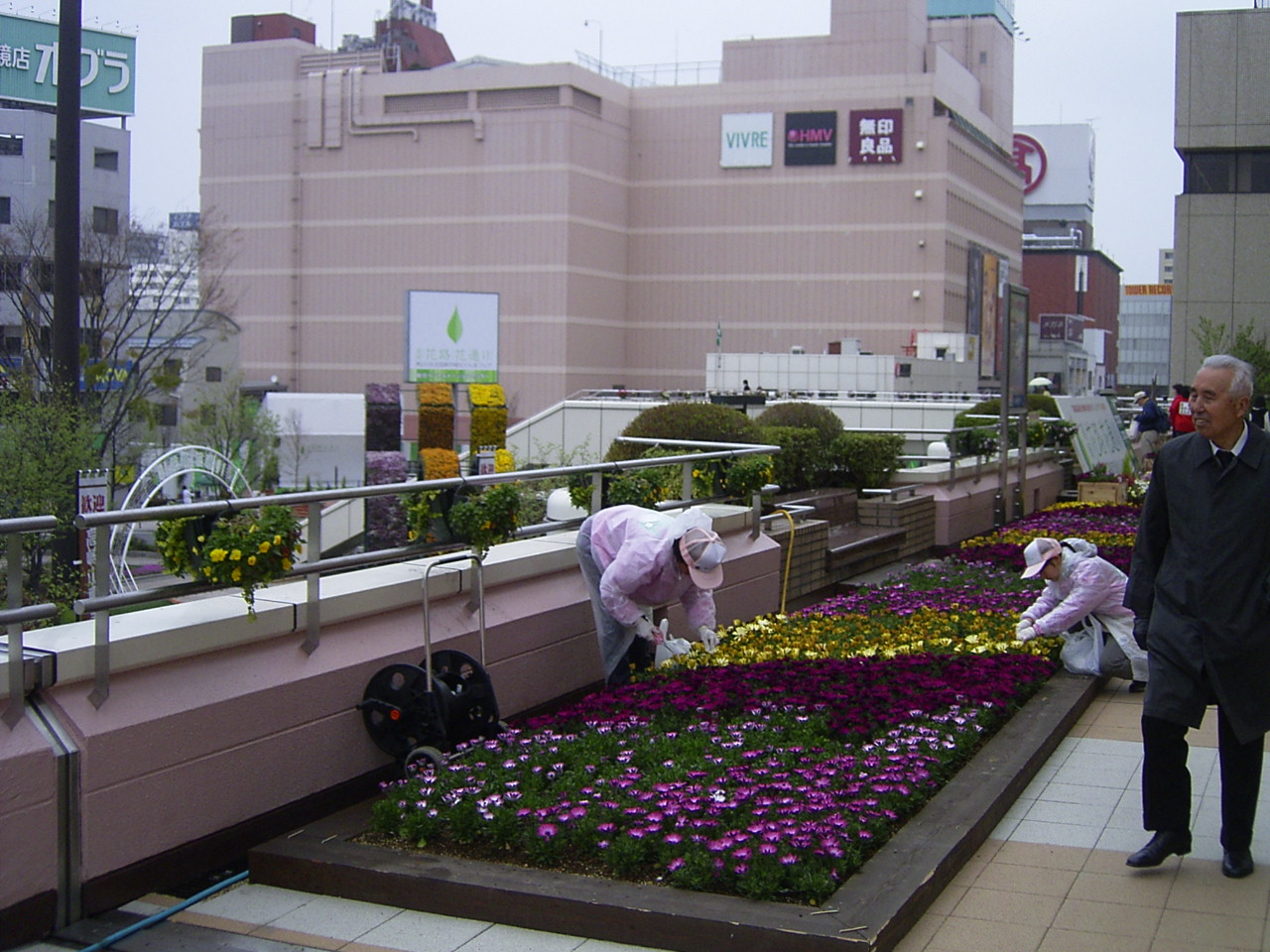 d0117565_051449.jpg