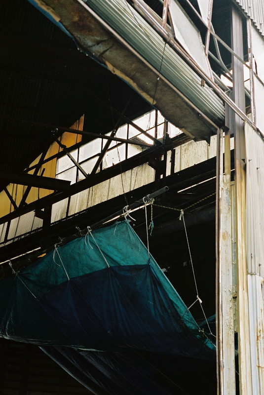 c0084666_0365178.jpg